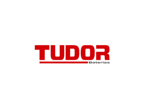 BAteria tudor